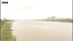 તાપી