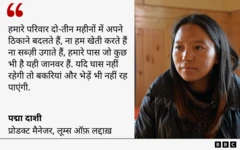 लूम्स ऑफ़ लद्दाख़ की प्रोडक्ट मैनेजर पद्मा दाशी