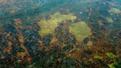 Incendios en la Amazonía