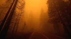 Пожар в Калифорнии