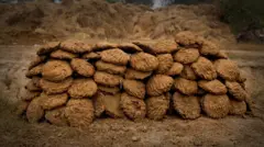 மாட்டுச் சாணம் மற்றும் விவசாயக் கழிவுகள்