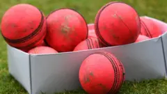 கிரிக்கெட் பந்து