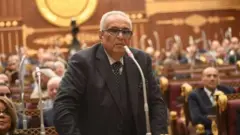 وكيل مجلس الشيوخ المصري بهاء أبو شقة