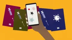 vaccine passport