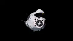 Capsule