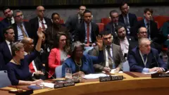 مجلس الأمن الدولي