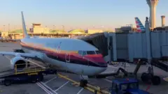 Літак American Airlines