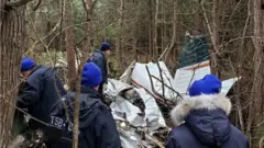 Самолёталокати