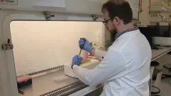 कोरोना