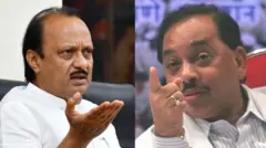 अजित पवार, नारायण राणे