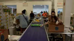 Voluntários examinam alimentos no banco de alimentos Feeding South Florida