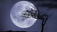 చందమామ