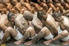 Vários homens sentados em fileiras. Eles estão sem camisa, usando apenas um short branco e com os pés e mãos algemados.