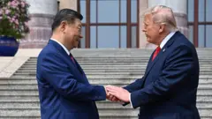 Xi Jinping y Donald Trump, vestidos de traje, se saludan estrechando la mano.
