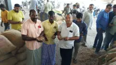 தமிழ்நாடு - குஜராத், வேர்க்கடலை விதைகள்