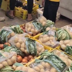 Captura de pantalla de un video de WhatsApp de Hossam al Astal, líder de una milicia en Gaza, que muestra cajas de verduras frescas en Gaza.