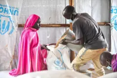 የእርዳታ ምግብ ሲከፋፈል