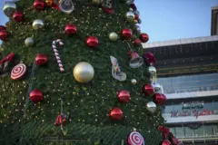 Christmas tree in Ankara