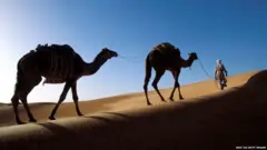 ਕੋਰੋਨਾਵਾਇਰਸ