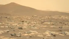 नासाच्या पर्सिव्हिअरन्स रोव्हरच्या उंच खांबावरच्या कॅमेऱ्याने काढलेला फोटो, 27 मार्च 2021