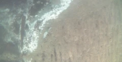 Vista submarina del fondo marino, con sedimentos claros y franjas blanquecinas que sugieren zonas afectadas por la falta de oxígeno.