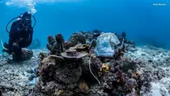 Diver next to a coral reef in the Philippines