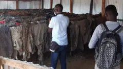 የሟቾች ልብስ