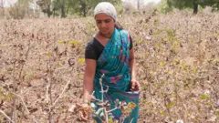 प्रातिनिधिक छायाचित्र