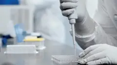 మోడెర్నా వ్యాక్సీన్