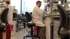 laboratorio