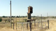 Сармоядор йўқми?