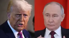 Montagem de fotos de Donald Trump e Vladimir Putin