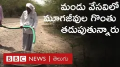 ఆంధ్రప్రదేశ్: అడవిలో పక్షులు, జంతువుల దాహం తీరుస్తున్న వృద్ధుడు