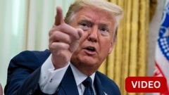 அமெரிக்கா 