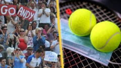 Wimbledon fans, balls and face mask