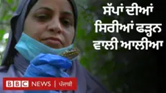 ਆਲੀਆ ਮੀਰ