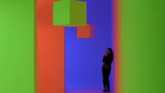 কাইনেটিক অপটিক্যাল আর্ট