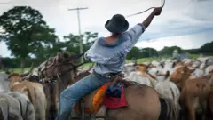 Brasil