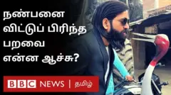 நாரை