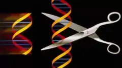 Tesoura cortando um trechosite de prognosticos futebolDNA