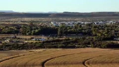Uma vista de campos de milho e Orania em 28 de abril de 2023, em Orania, África do Sul.
