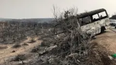 آثار حرائق في مزرعة 