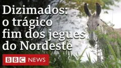 Jumento