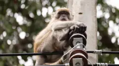 டாப்5 செய்திகள்