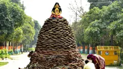 જામનગર, હોળી