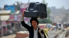 టీవీ