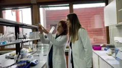 Novosadski naučnici rade u laboratoriji