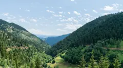Artvin