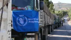 ረድኤት ዝፀዓና መኻይን