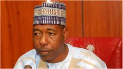 Governor Zulum